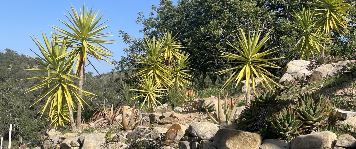 Casa-Colmeia-Garten